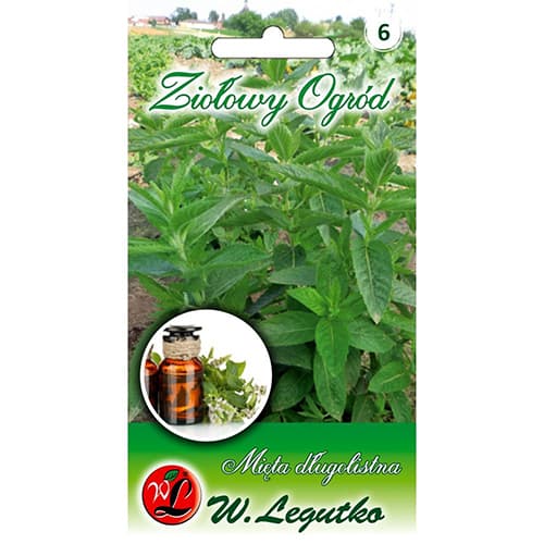 Meta Legutko slika 1 članek 78707