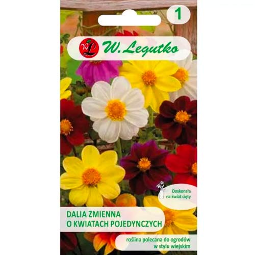 Mignon pritlikava dalija, mix slika 1 članek 78548