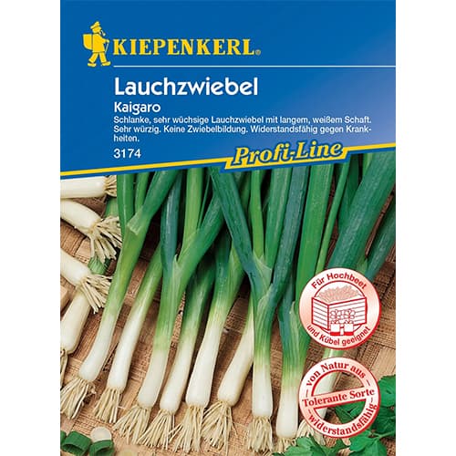 Mlada čebula Kaigaro slika 1 članek 87283