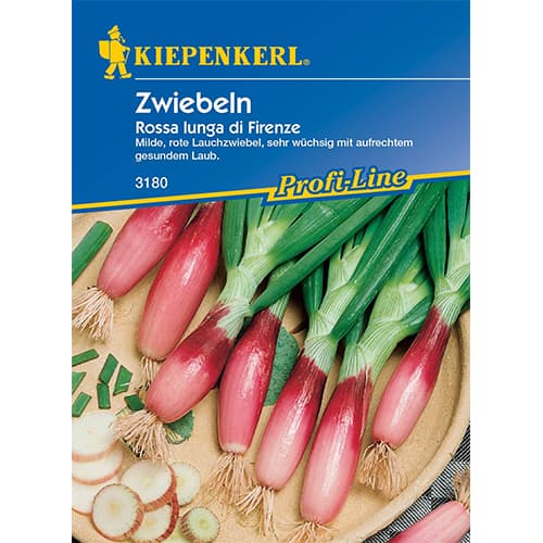 Mlada čebula Rossa lunga di Firenze slika 1 članek 50072