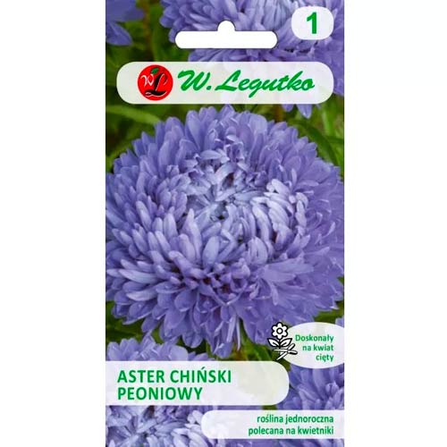 Modra kitajska potonika aster slika 1 članek 78527