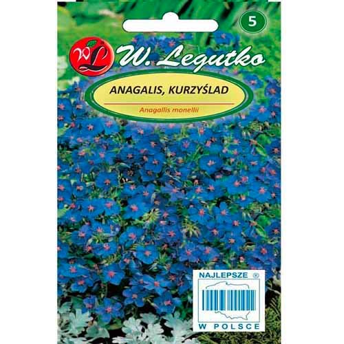 Modra opuncija (Anagalis). slika 1 članek 96764