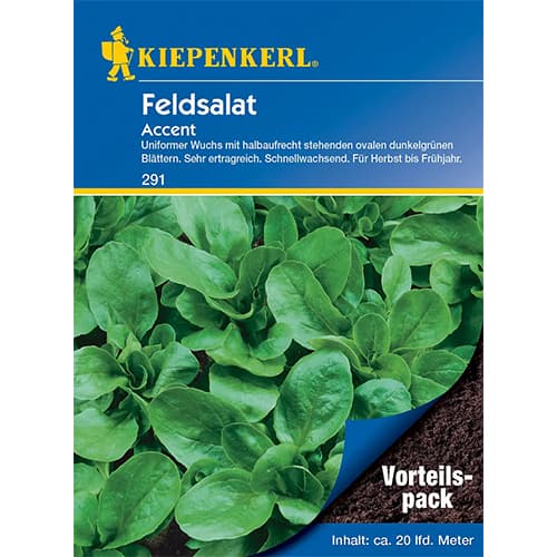 Motovilec Accent slika 1 članek 77494