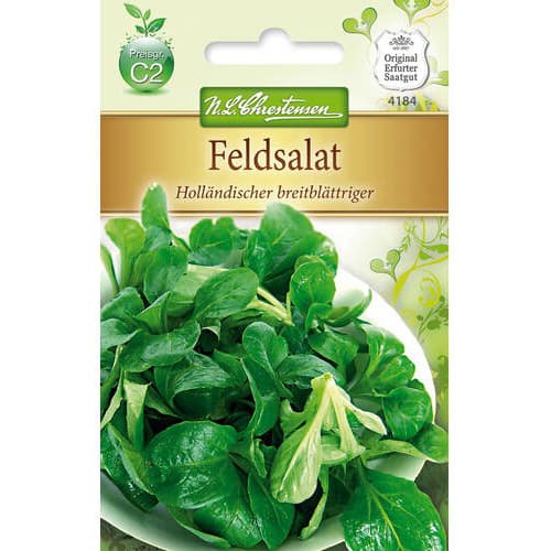 Motovilec Hollandischer breitblattriger Chrestensen slika 1 članek 78767