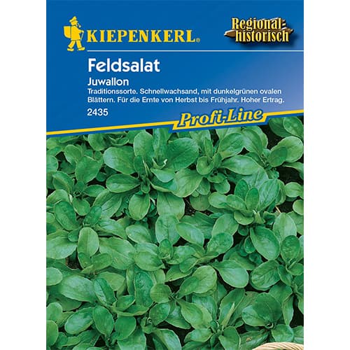 Motovilec Juwallon slika 1 članek 96615