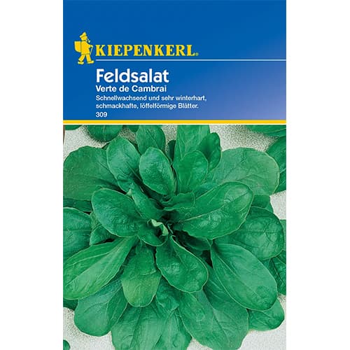 Motovilec Verte de Cambrai slika 1 članek 77493