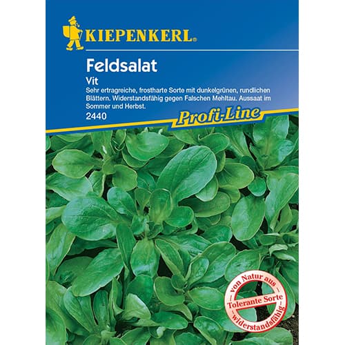 Motovilec Vit slika 1 članek 77495