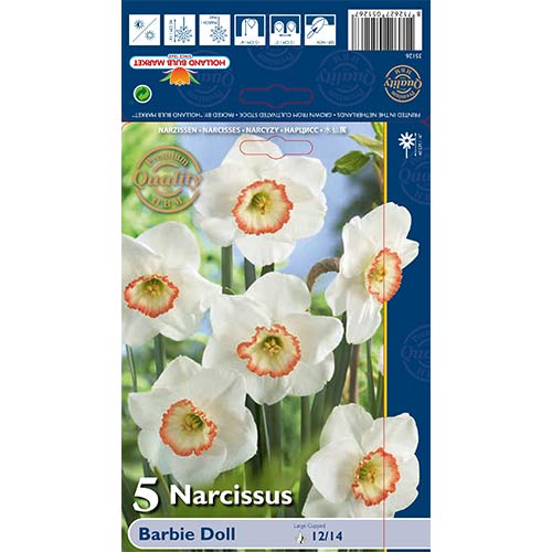 Narcis Barbie Doll slika 1 članek 67639