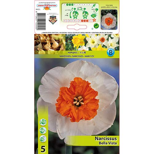 Narcisa velikocvetna Bella Vista slika 1 članek 67640
