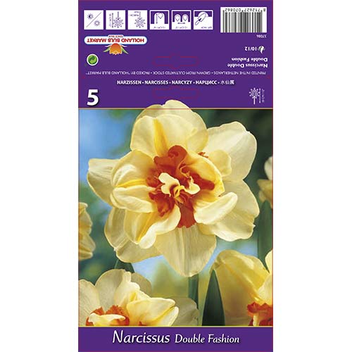 Narcisa frotirna Double Fashion slika 1 članek 67413