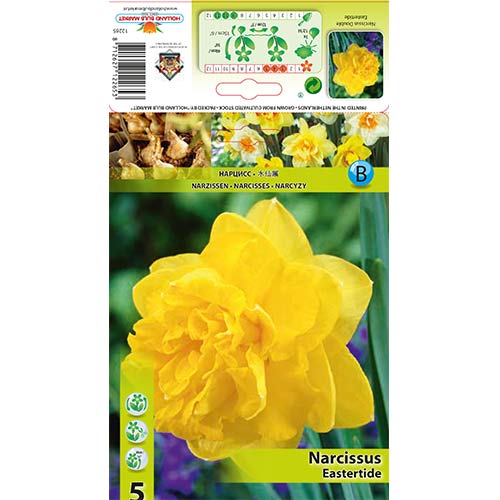 Narcisa frotirna Eastertide slika 1 članek 70280