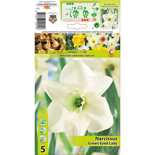 Narcis Green Eyed Lady slika 1 članek 67429