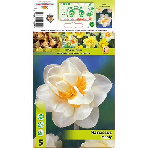 Narcis Manly slika 1 članek 68070