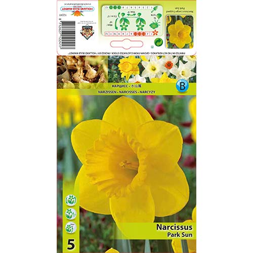 Narcis Park Sun slika 1 članek 67654