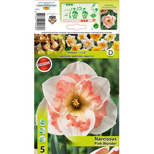 Narcisa z deljeno krono Pink Wander slika 1 članek 67434