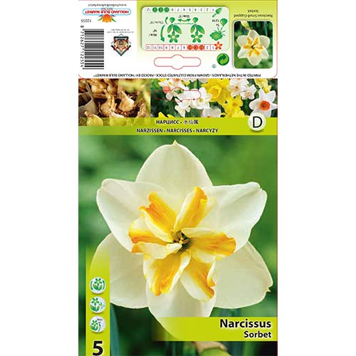 Narcis Sorbet slika 1 članek 67430