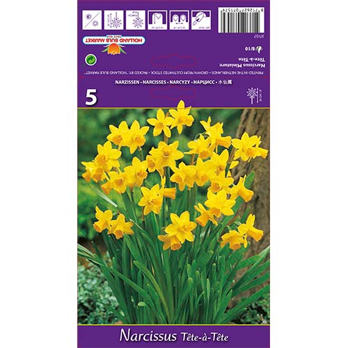 Narcisa mini Tete-a-Tete slika 1 članek 67664