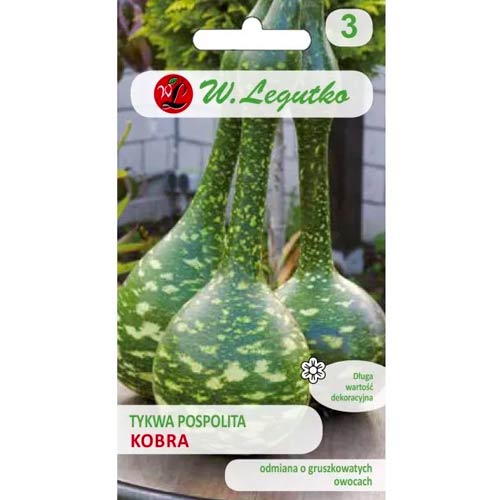 Navadna buča Cobra slika 1 članek 69637