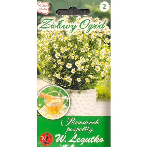 Navadna kamilica slika 1 članek 69686