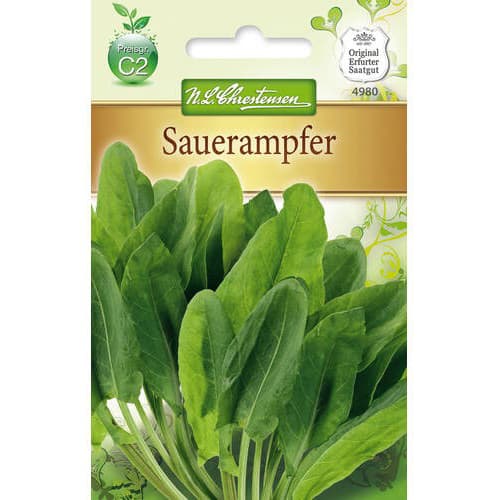 Navadna kislica slika 1 članek 78870