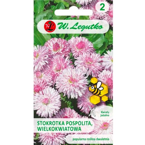 Navadna marjetica Maria velikocvetna slika 1 članek 50121