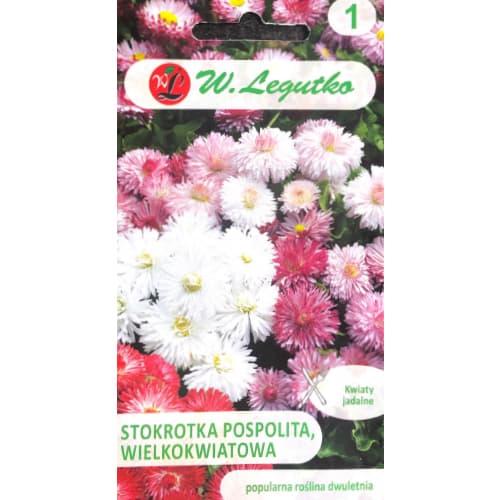 Navadna velikocvetna marjetica, mešanica slika 1 članek 50122