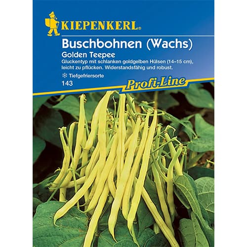 Navadni fižol Golden Teepee slika 1 članek 86401