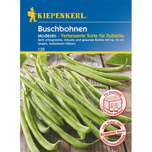 Navadni fižol Modesto slika 1 članek 96602