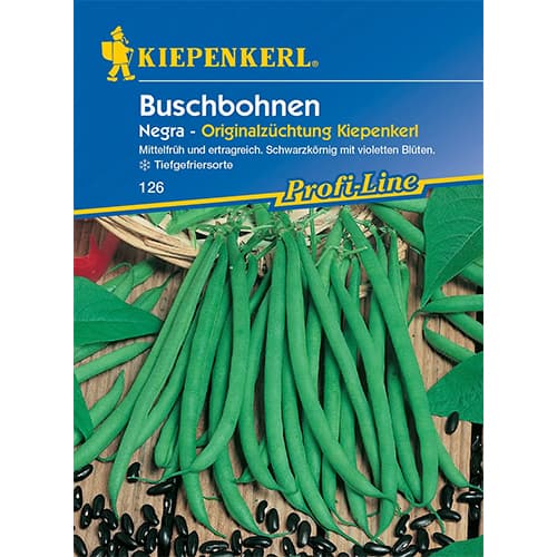 Navadni fižol Negra slika 1 članek 77471