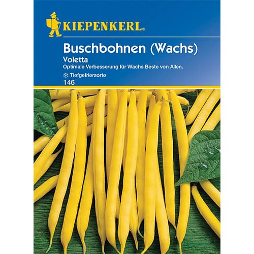 Navadni fižol Voletta slika 1 članek 86404