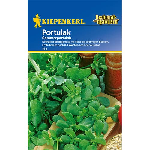 Navadni tolščak (Portulak) slika 1 članek 77412