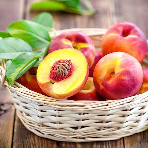 Nektarina Caldesi 2000 slika 1 članek 4287