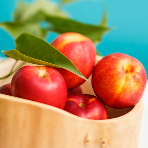 Nektarina Star Coral, C2 slika 1 članek 9685