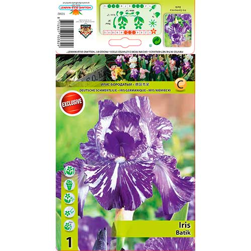 Nemška perunika Batik slika 1 članek 76282