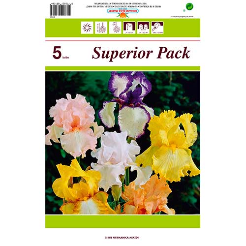 Nemška perunika večbarvna mešanica slika 1 članek 76464