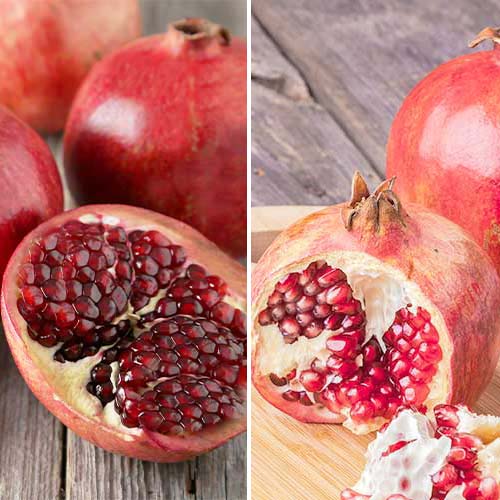 Neverjetna ponudba! Granatno jabolko Duo, set 2 sort slika 1 članek 4879