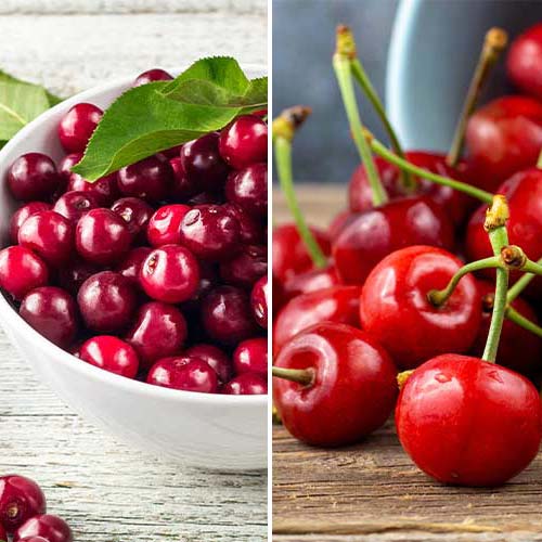 Neverjetna ponudba! Češnja in višnja Duo, set 2 sort slika 1 članek 4874