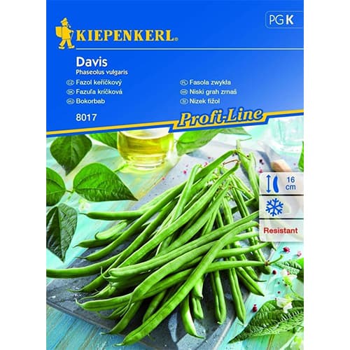 Nizek fižol Davis slika 1 članek 87274