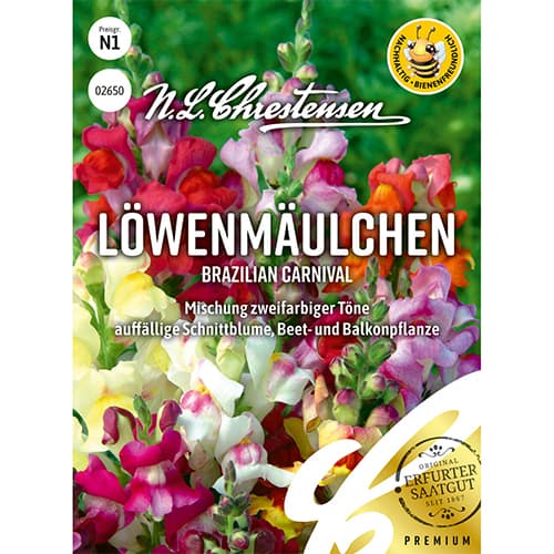 Odolin Brazilian Carnival slika 1 članek 86167