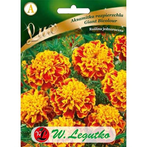 Ognjič Giant Bicolor slika 1 članek 78650