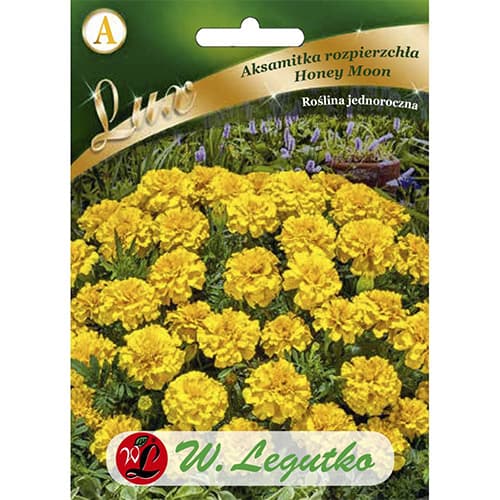 Ognjič Honey Moon slika 1 članek 86737