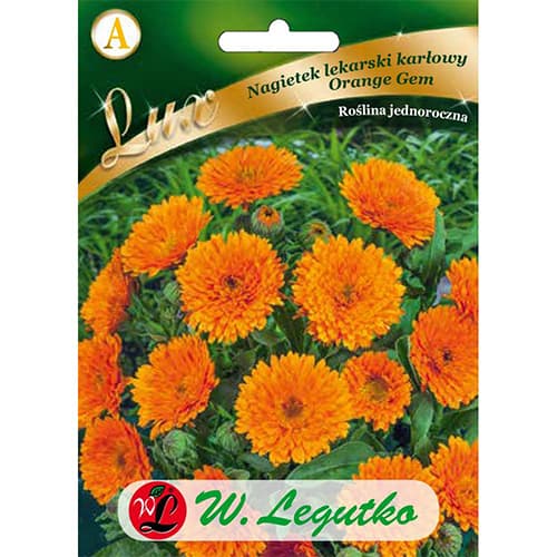 Ognjič Orange Gem slika 1 članek 86749