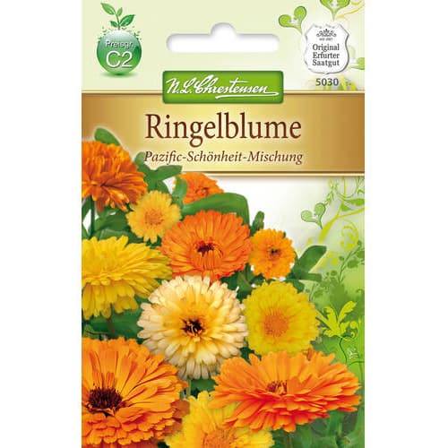 Ognjič Pacific Beauty - večbarvna mešanica slika 1 članek 78890