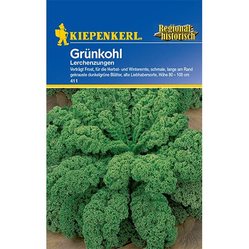 Ohrovt Lerchenzungen slika 1 članek 77502