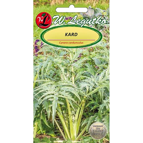 Okrasna artičoka slika 1 članek 96809