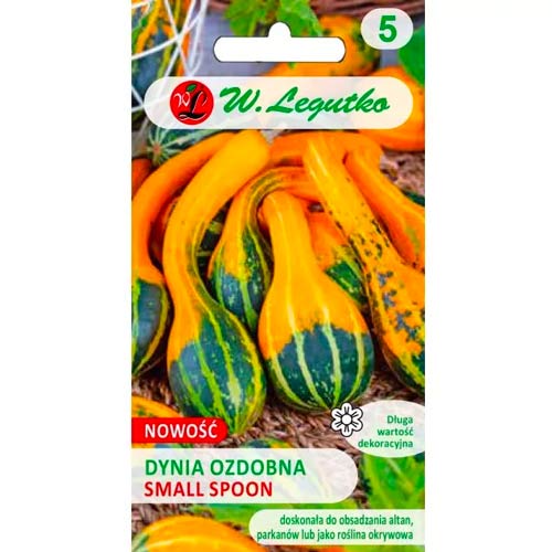 Okrasna buča Small Spoon slika 1 članek 96769