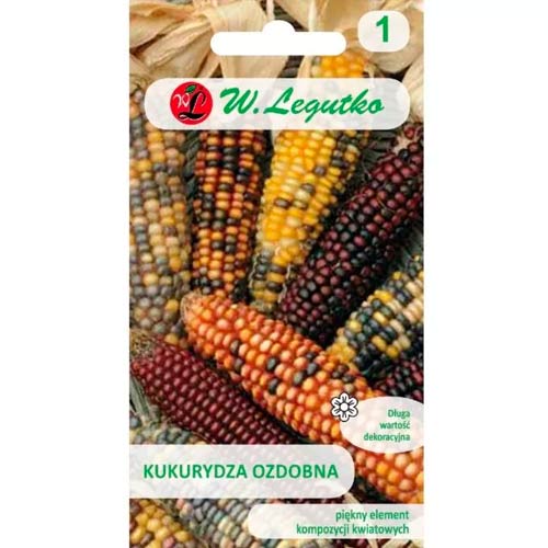 Okrasna koruza, mešanica slika 1 članek 69598