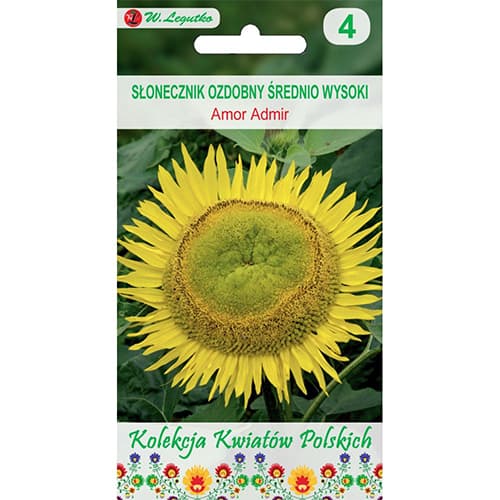 Okrasna sončnica Amor Admir slika 1 članek 86732