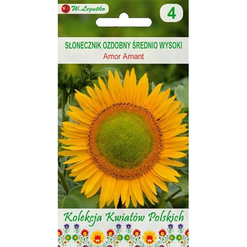 Okrasna sončnica Amor Amant slika 1 članek 86736