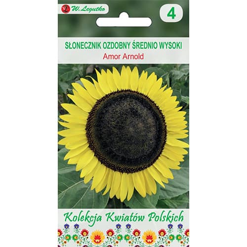 Okrasna sončnica Amor Arnold slika 1 članek 86731